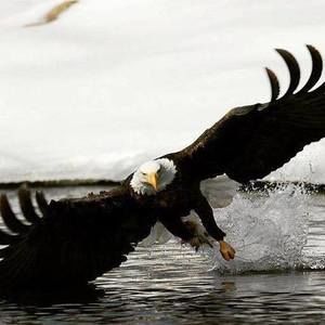 Meet your Posher, Kev